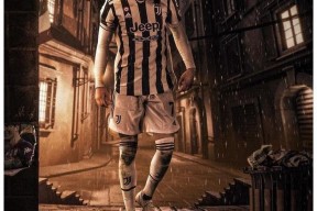 满冠电竞 -尤文图斯球迷数量